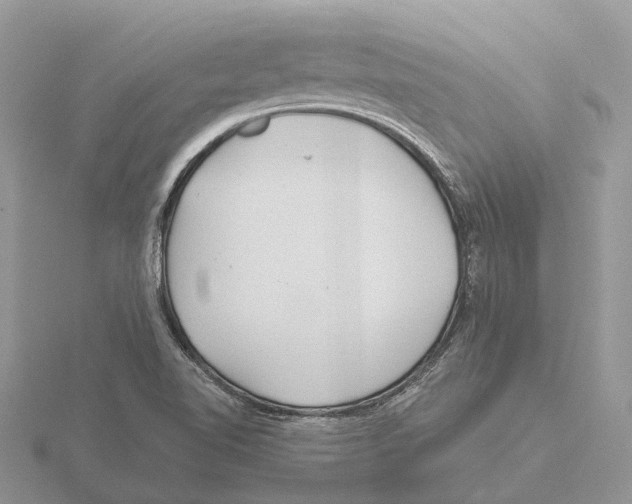 X0000115681510200912101123