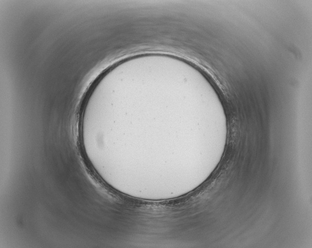 X0000115681511200912101123