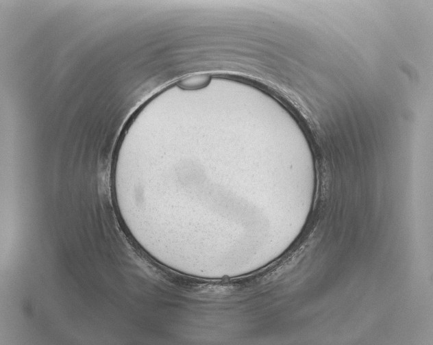 X0000115681513200912101123