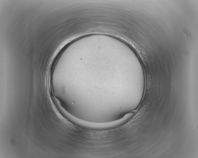 X0000115681515200912101123