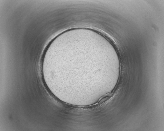 X0000115681517200912101123