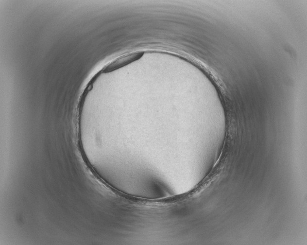 X0000115681522200912101123