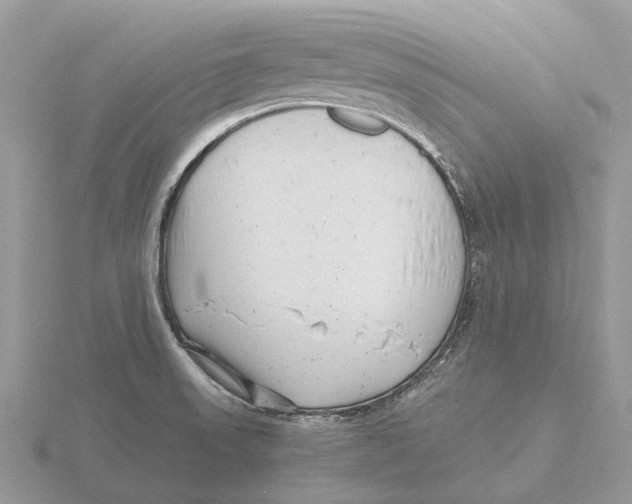 X0000115681523200912101123