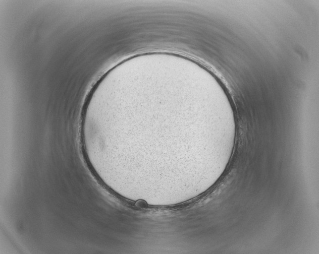 X0000115681525200912101123