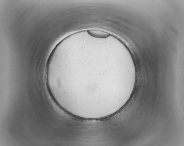 X0000115681526200912101123