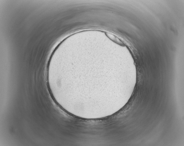 X0000115681527200912101123