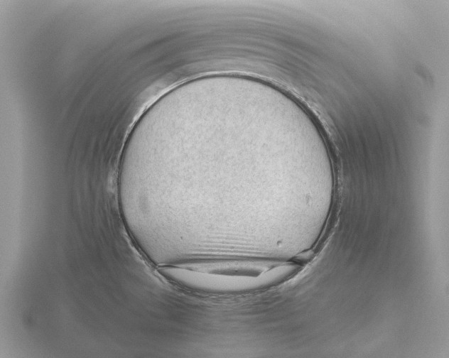 X0000115681529200912101123