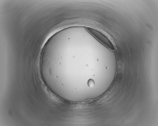 X0000115681530200912101123