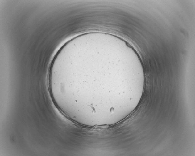 X0000115681531200912101123