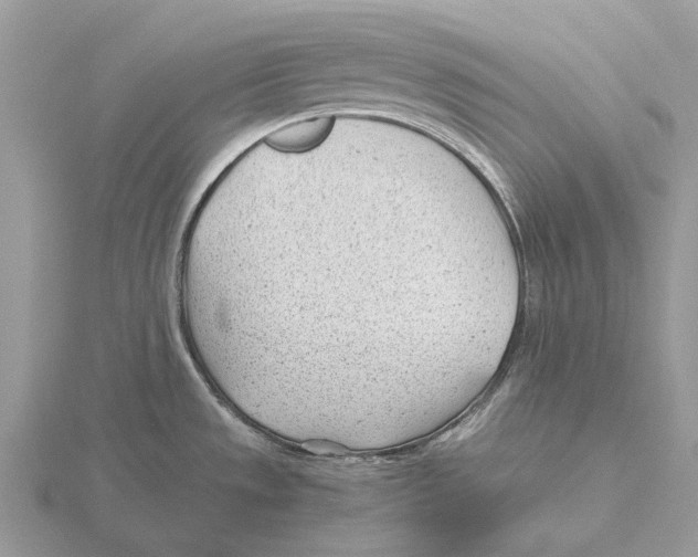 X0000115681533200912101123