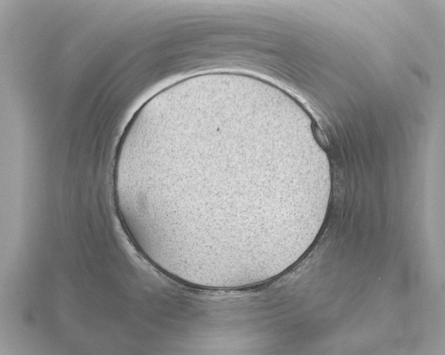 X0000115681534200912101123