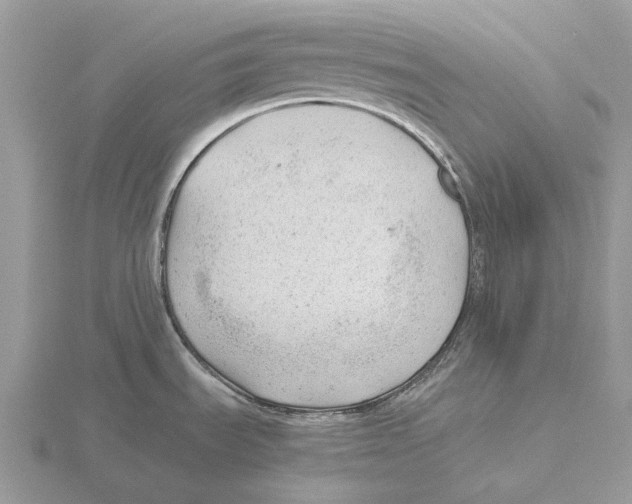 X0000115681535200912101123