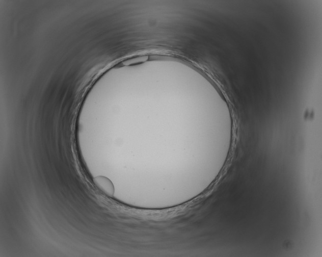 X0000115680001200912241450