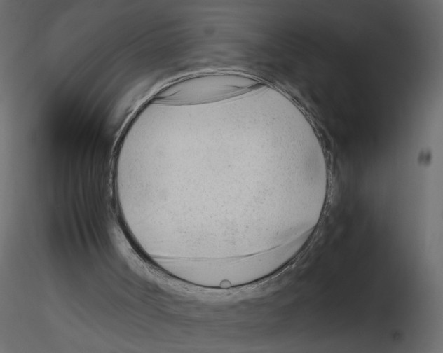 X0000115680002200912241450