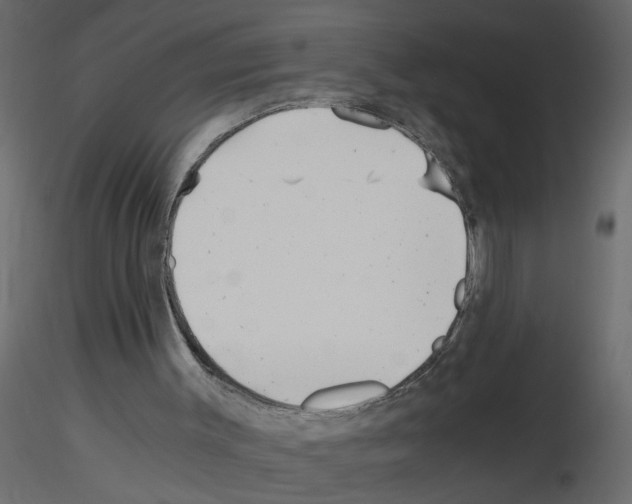 X0000115680003200912241450