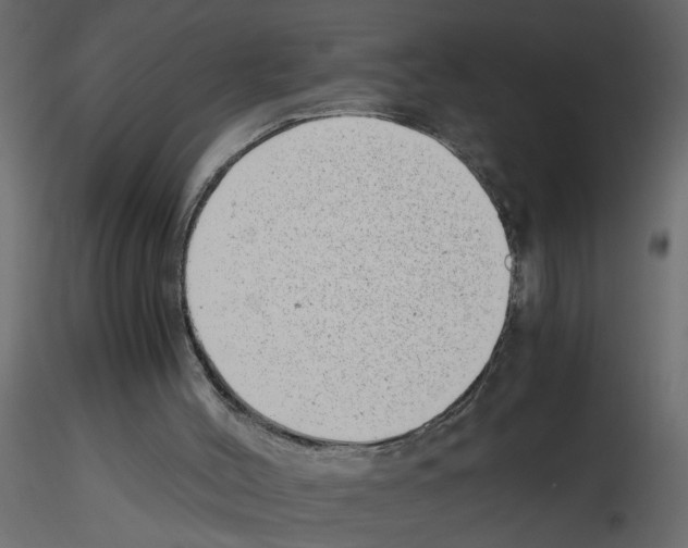X0000115680004200912241450