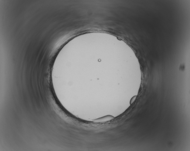 X0000115680005200912241450