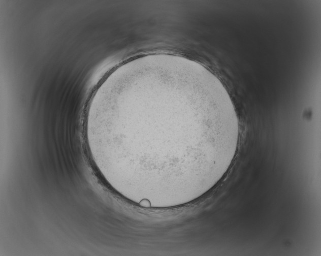 X0000115680006200912241450