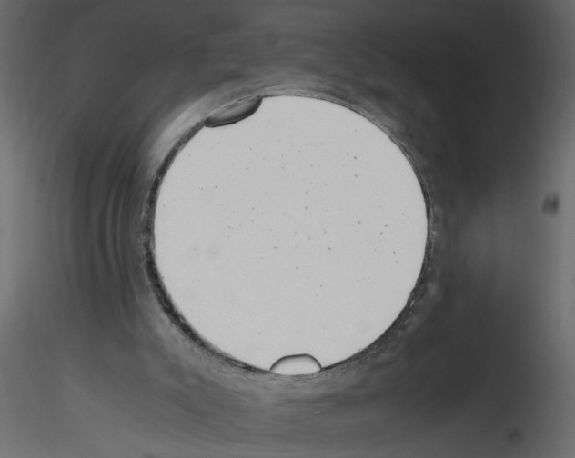 X0000115680007200912241450