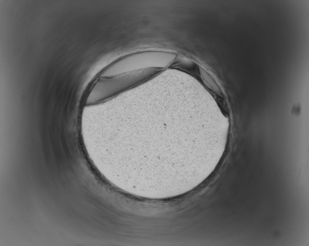 X0000115680008200912241450
