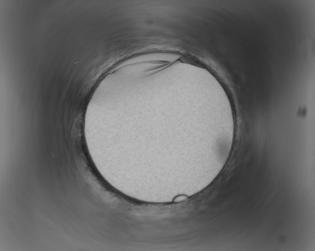 X0000115680009200912241450