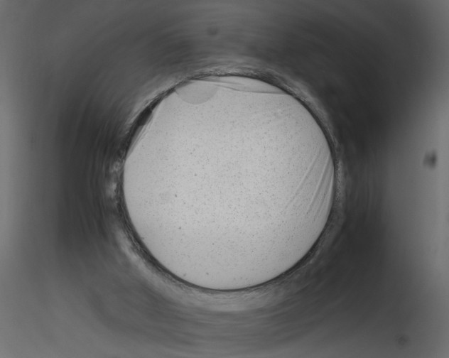 X0000115680010200912241450