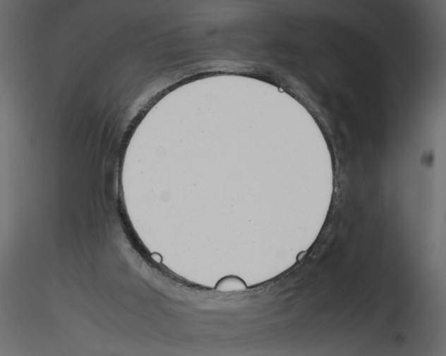 X0000115680011200912241450