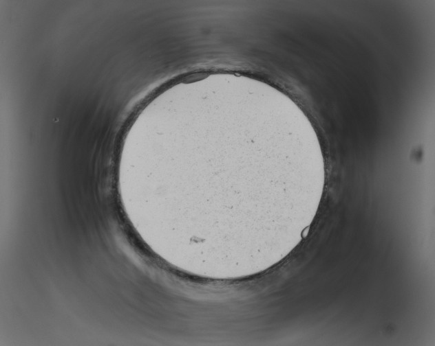 X0000115680012200912241450