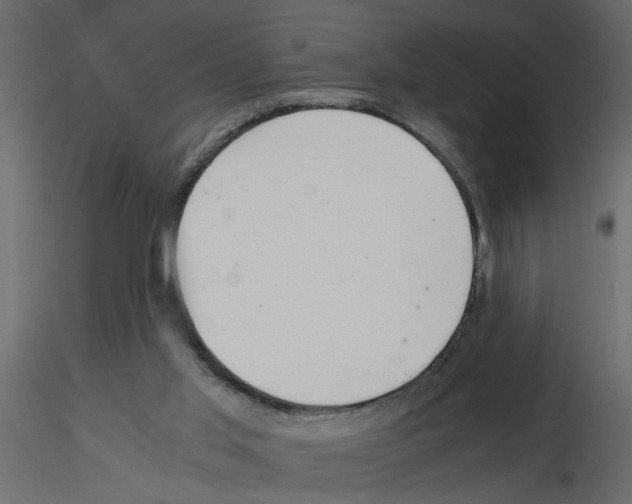 X0000115680013200912241450