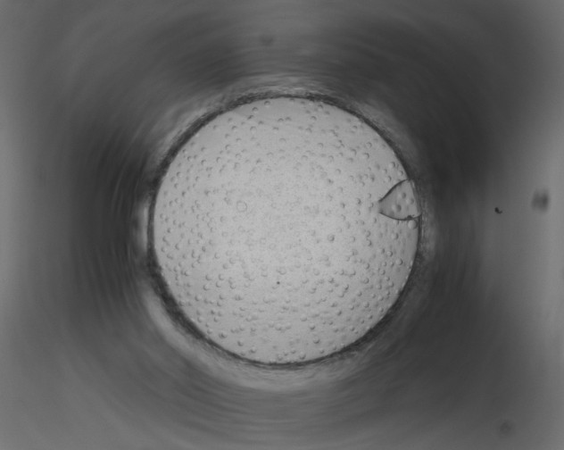 X0000115680014200912241450