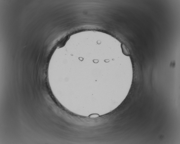 X0000115680015200912241450