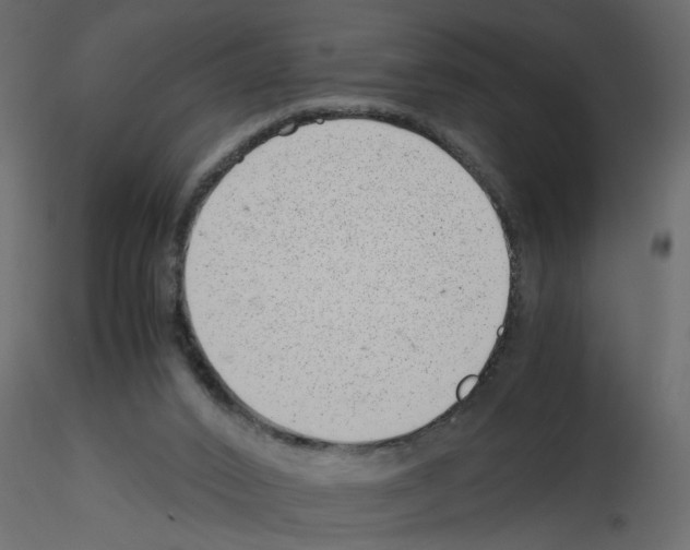 X0000115680016200912241450
