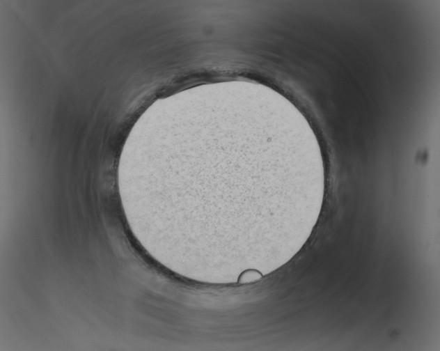 X0000115680017200912241450