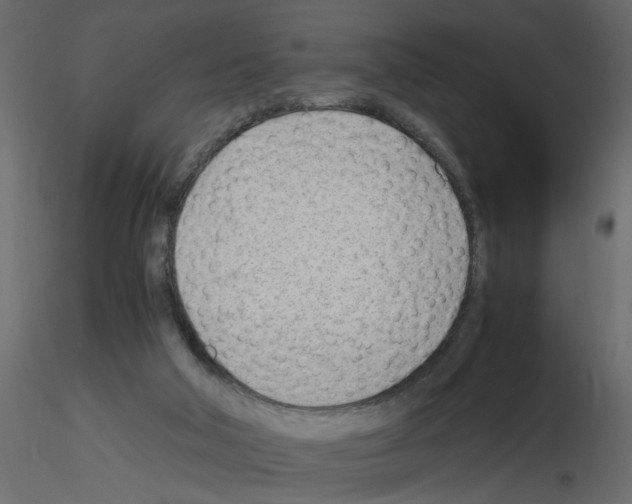 X0000115680018200912241450