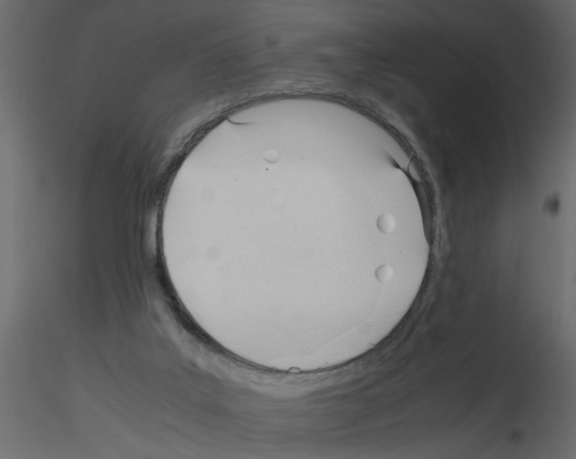 X0000115680019200912241450