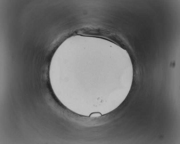 X0000115680023200912241450