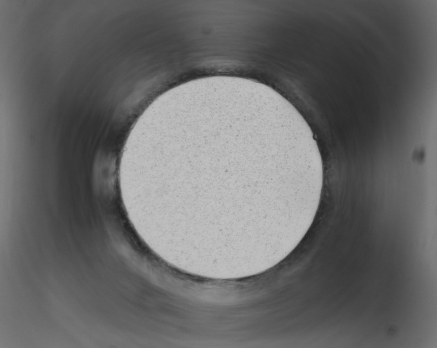 X0000115680024200912241450