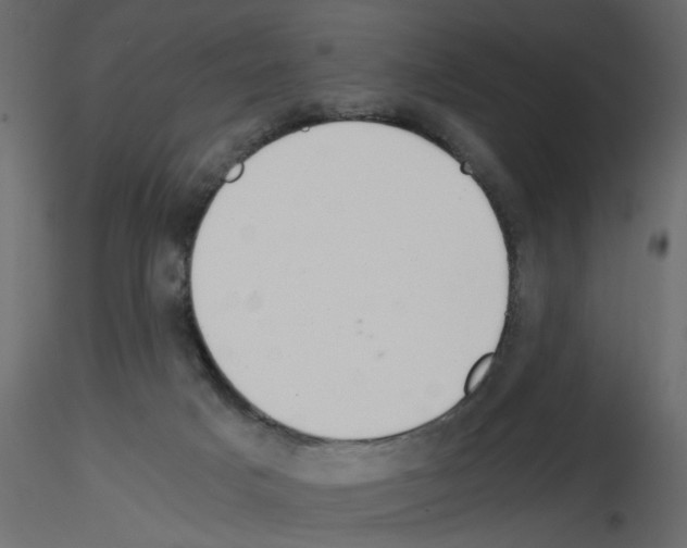 X0000115680025200912241450