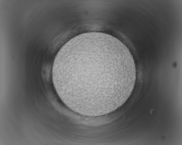 X0000115680026200912241450