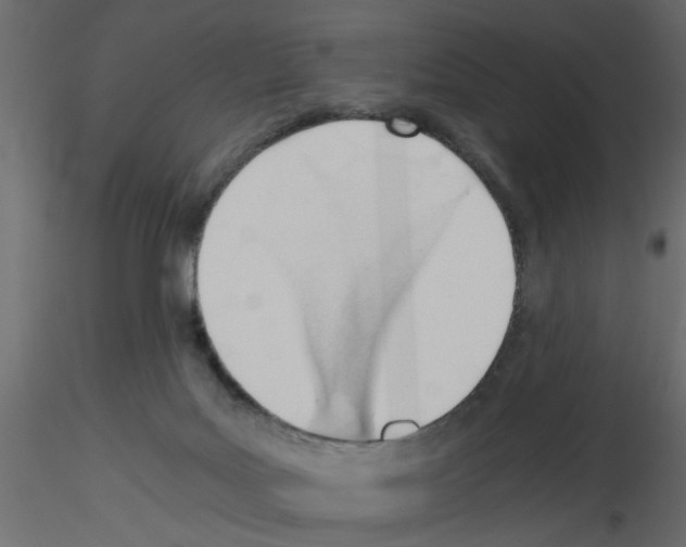 X0000115680027200912241450