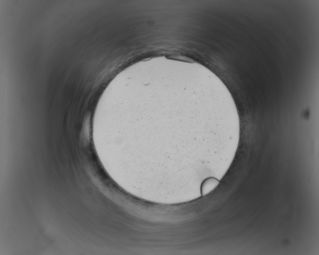 X0000115680028200912241450