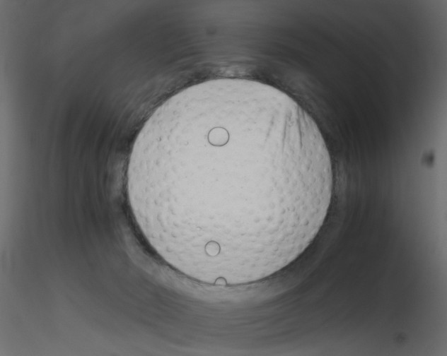 X0000115680030200912241450