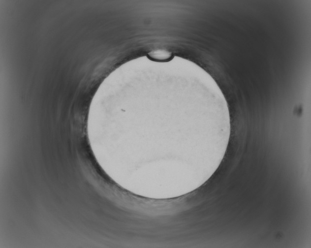 X0000115680031200912241450