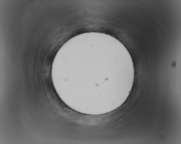 X0000115680033200912241450