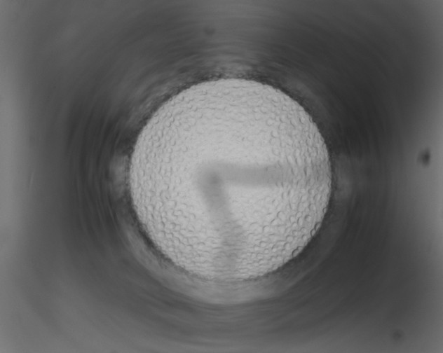 X0000115680034200912241450