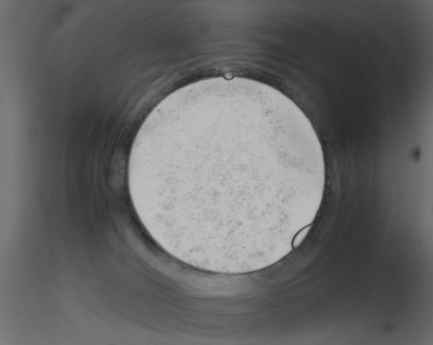 X0000115680036200912241450