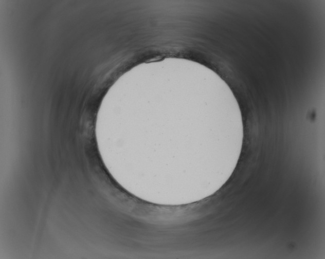 X0000115680037200912241450