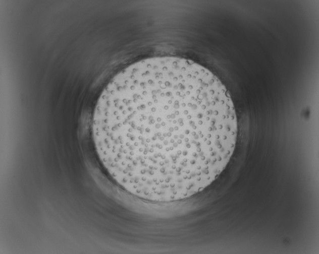 X0000115680038200912241450