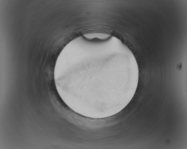 X0000115680039200912241450