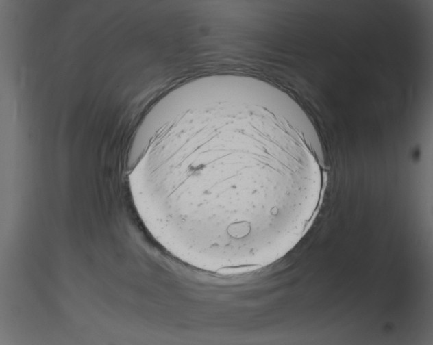 X0000115680043200912241450